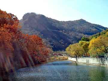 新澳天天开奖资料大全旅游团，水泥地面裂缝